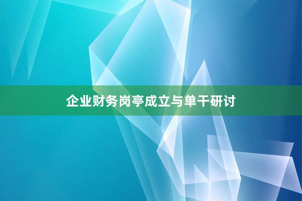 企业财务岗亭成立与单干研讨