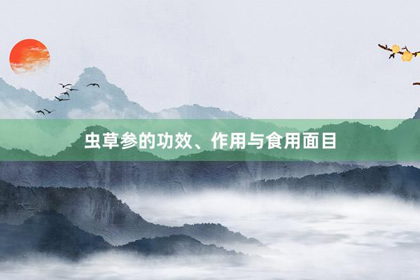 虫草参的功效、作用与食用面目
