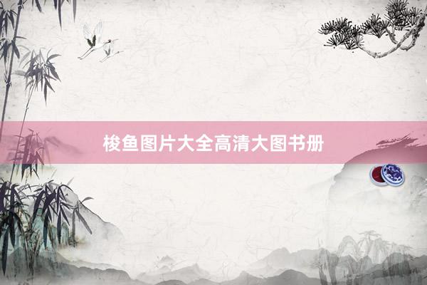 梭鱼图片大全高清大图书册