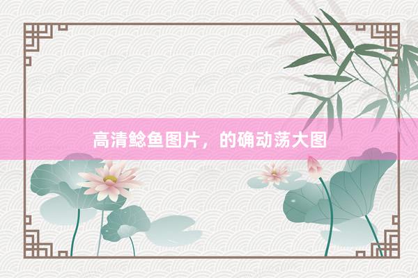 高清鲶鱼图片，的确动荡大图